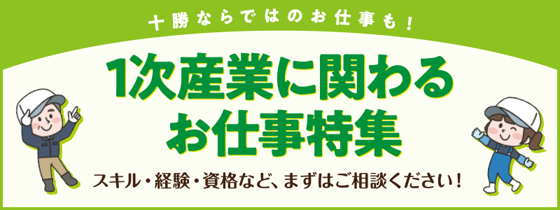 派遣のお仕事特集